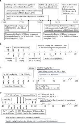 Haploidentical Stem Cell Transplantation for Acute Myeloid Leukemia: Current Therapies, Challenges and Future Prospective